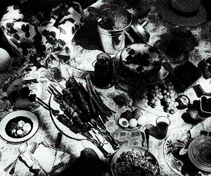 The Russian Picnic Tradition a Family Smuggled Out of the USSR image