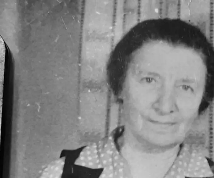 The Babushka Who Carried Meals Across Moscow image