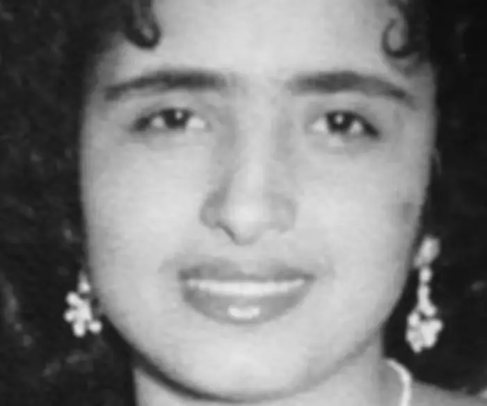 Maheen's Persian Herbed Omelette image